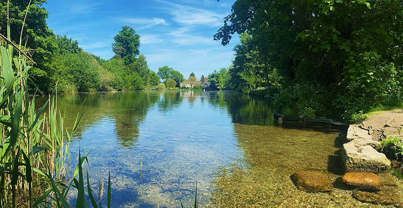 Photos of lake